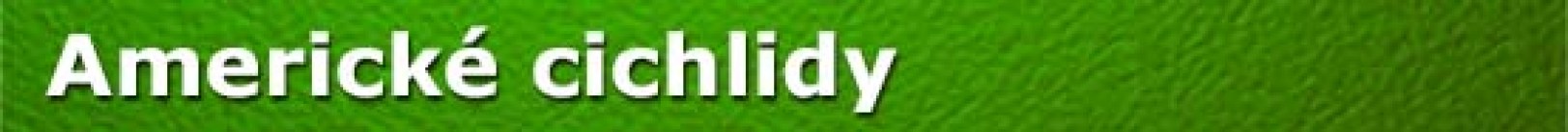 Americke cichlidy